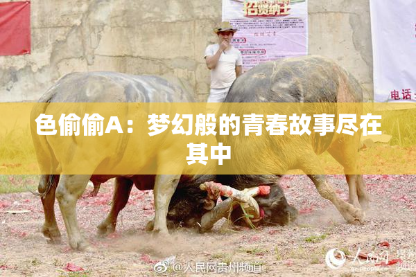 色偷偷A：梦幻般的青春故事尽在其中
