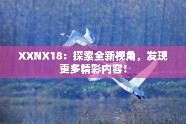 XXNX18：探索全新视角，发现更多精彩内容！