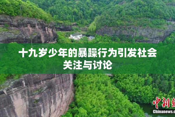 十九岁少年的暴躁行为引发社会关注与讨论