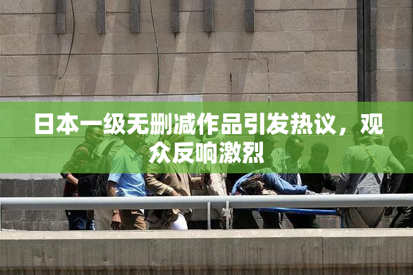 日本一级无删减作品引发热议，观众反响激烈