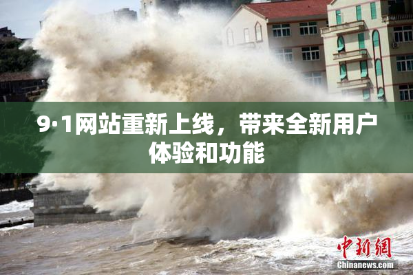 9·1网站重新上线，带来全新用户体验和功能