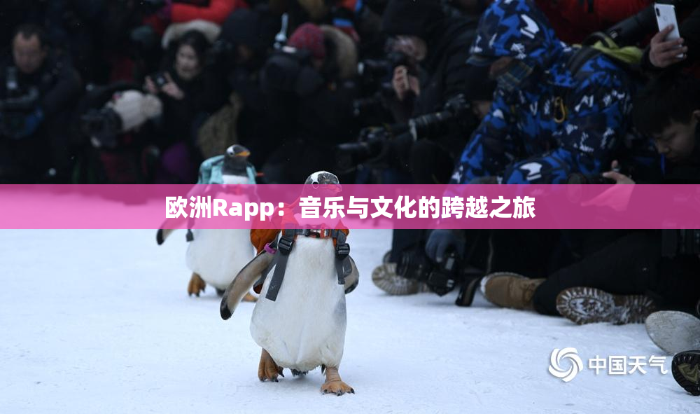 欧洲Rapp：音乐与文化的跨越之旅