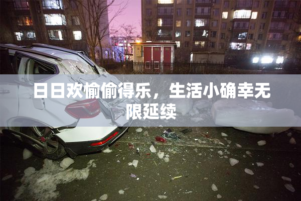 日日欢愉偷得乐，生活小确幸无限延续