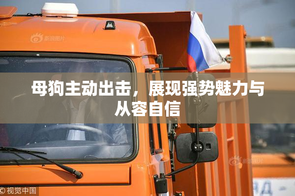 母狗主动出击，展现强势魅力与从容自信