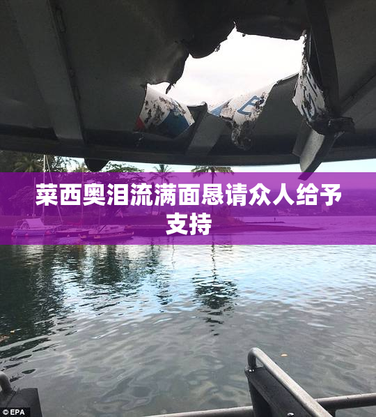 菜西奥泪流满面恳请众人给予支持