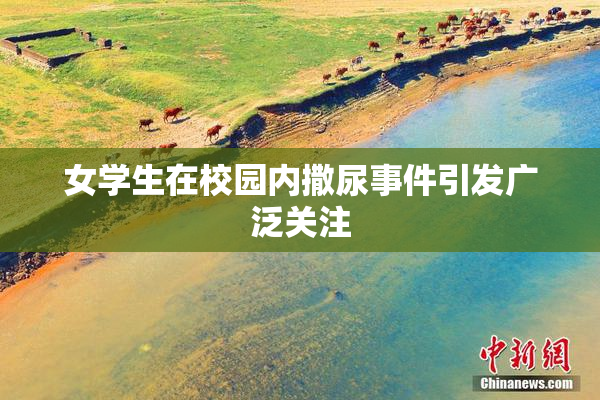 女学生在校园内撒尿事件引发广泛关注