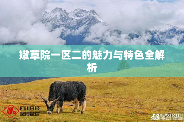 嫩草院一区二的魅力与特色全解析