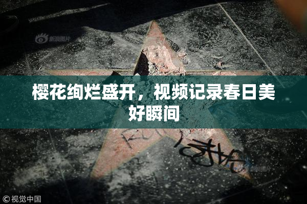 樱花绚烂盛开，视频记录春日美好瞬间