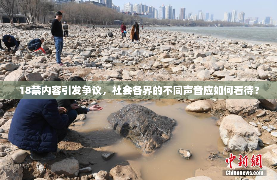 18禁内容引发争议，社会各界的不同声音应如何看待？