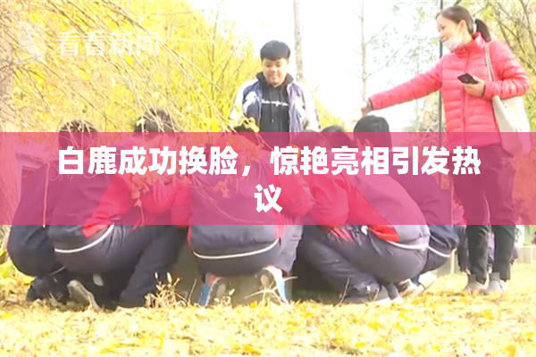 白鹿成功换脸，惊艳亮相引发热议