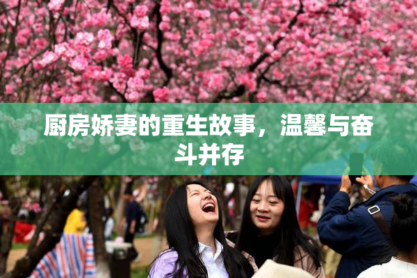 厨房娇妻的重生故事，温馨与奋斗并存