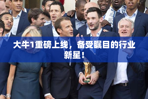 大牛1重磅上线，备受瞩目的行业新星！