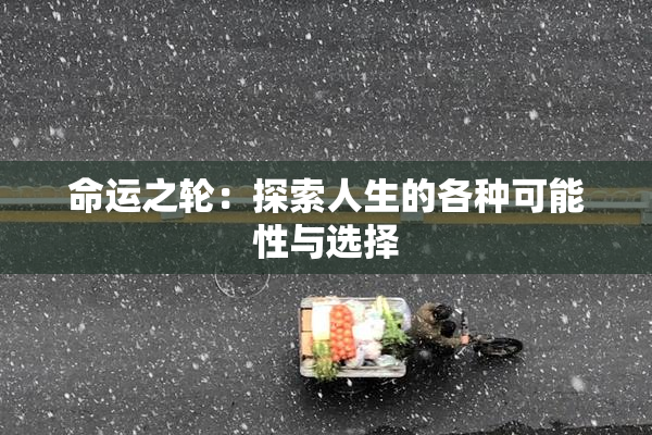 命运之轮：探索人生的各种可能性与选择