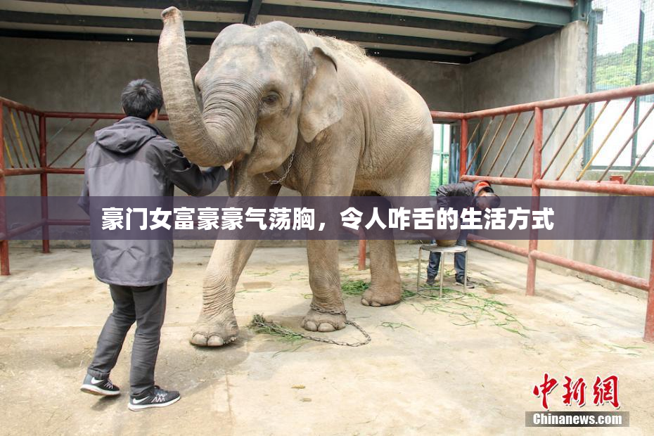 豪门女富豪豪气荡胸，令人咋舌的生活方式