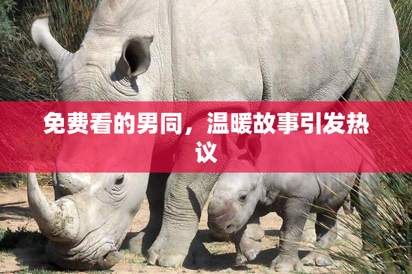 免费看的男同，温暖故事引发热议