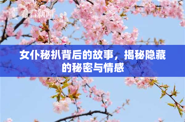 女仆秘扒背后的故事，揭秘隐藏的秘密与情感