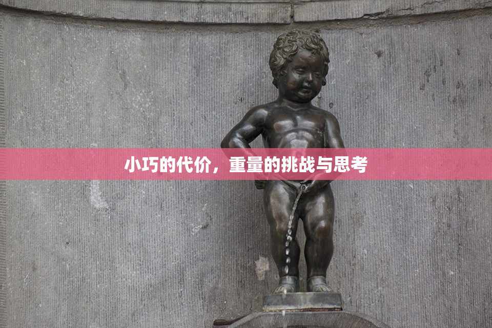 小巧的代价，重量的挑战与思考