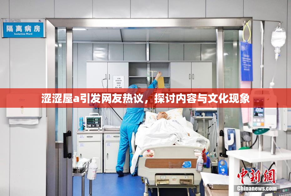 涩涩屋a引发网友热议，探讨内容与文化现象