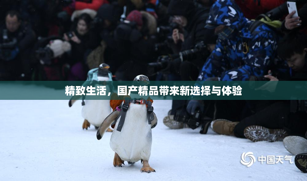 精致生活，国产精品带来新选择与体验