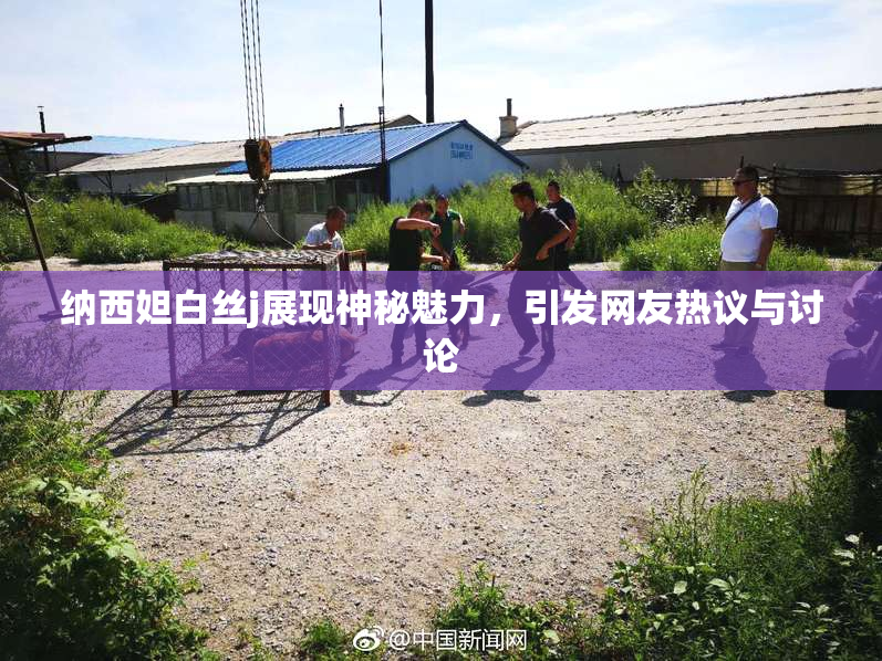 纳西妲白丝j展现神秘魅力，引发网友热议与讨论