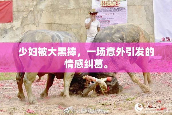 少妇被大黑捧，一场意外引发的情感纠葛。