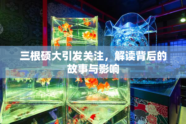 三根硕大引发关注，解读背后的故事与影响
