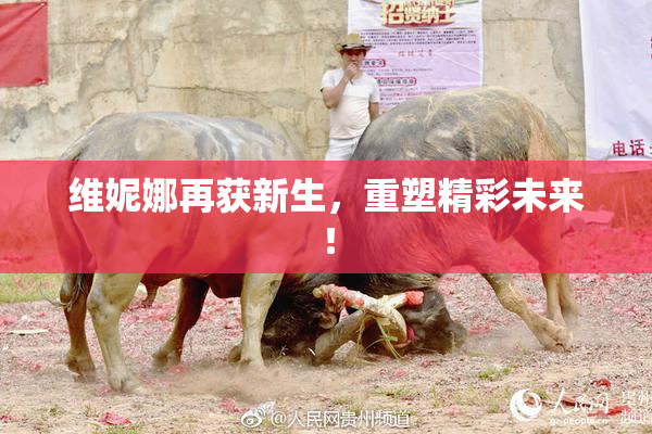 维妮娜再获新生，重塑精彩未来！