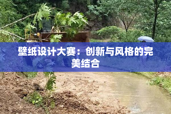 壁纸设计大赛：创新与风格的完美结合