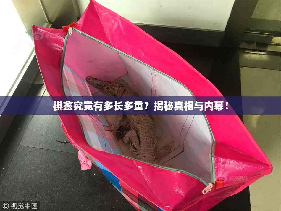 祺鑫究竟有多长多重？揭秘真相与内幕！