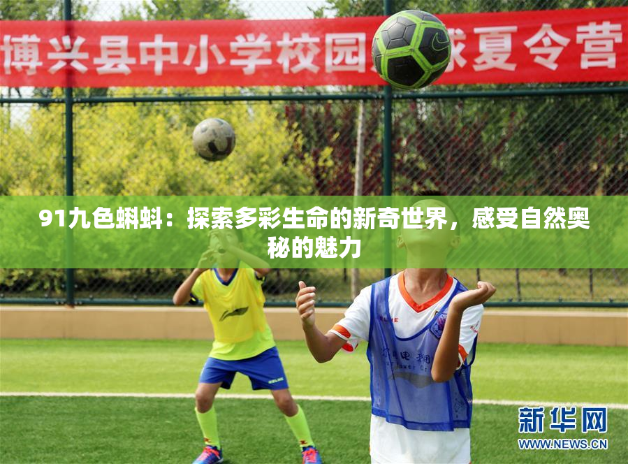 91九色蝌蚪：探索多彩生命的新奇世界，感受自然奥秘的魅力