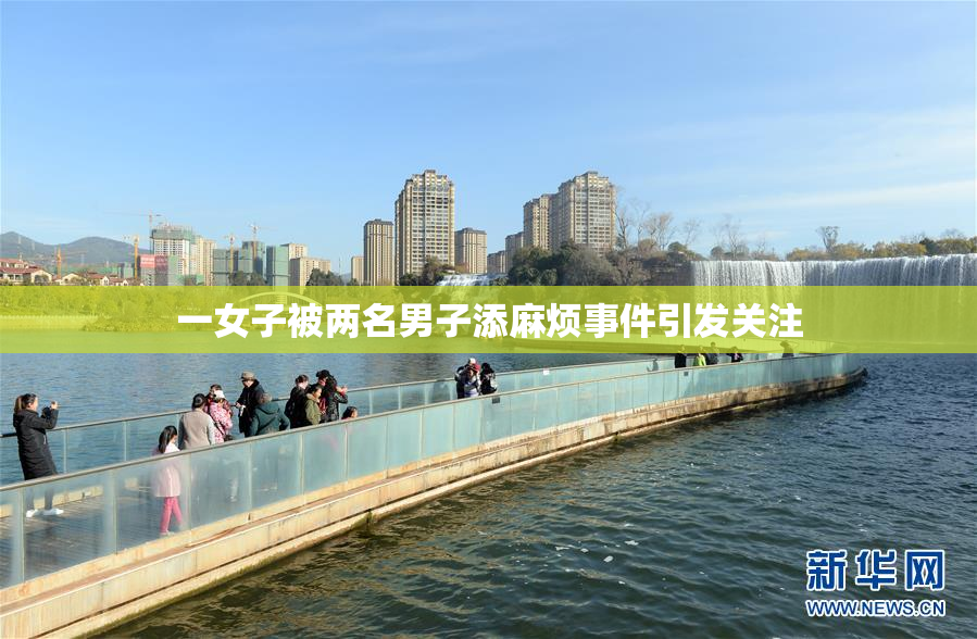 一女子被两名男子添麻烦事件引发关注