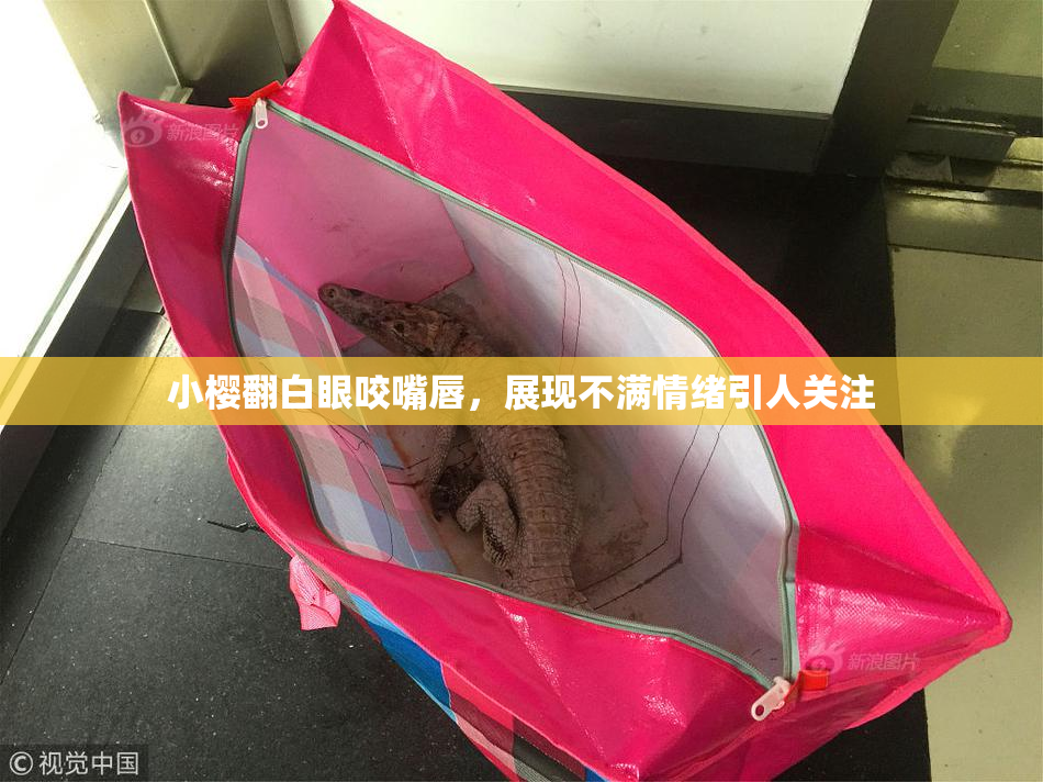小樱翻白眼咬嘴唇，展现不满情绪引人关注