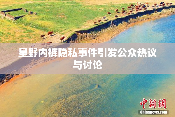 星野内裤隐私事件引发公众热议与讨论