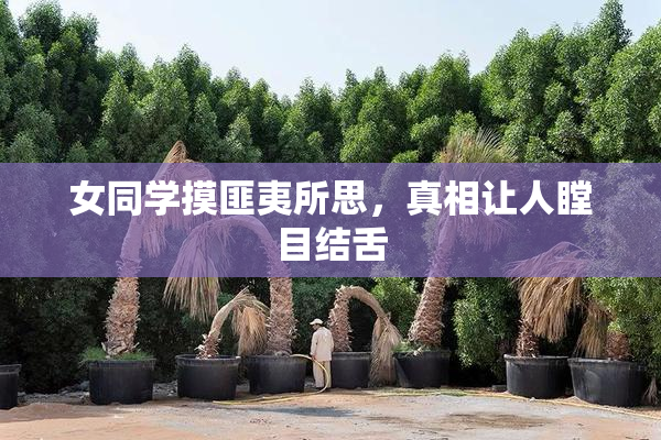 女同学摸匪夷所思，真相让人瞠目结舌
