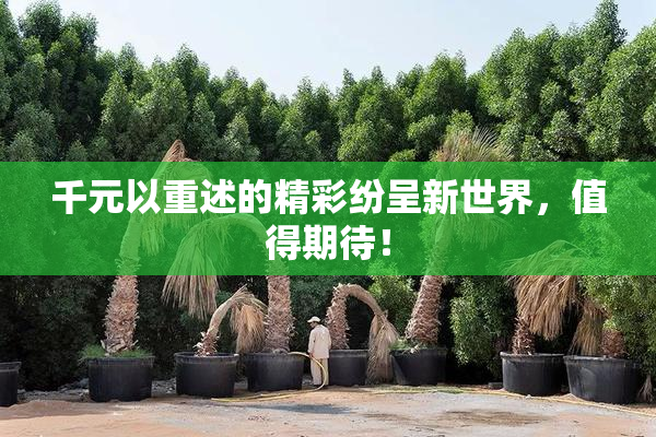 千元以重述的精彩纷呈新世界，值得期待！