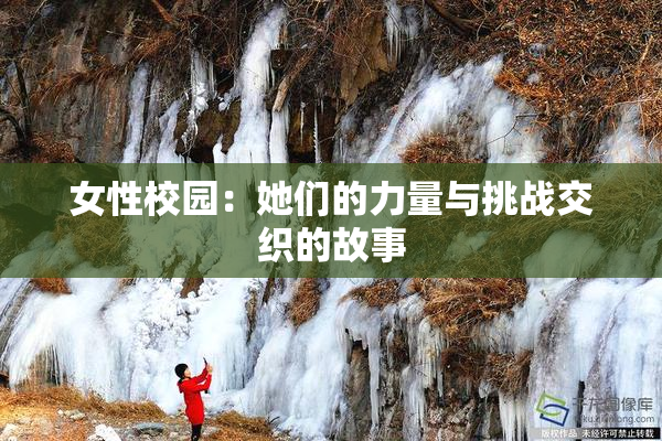 女性校园：她们的力量与挑战交织的故事