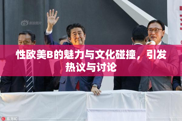性欧美B的魅力与文化碰撞，引发热议与讨论
