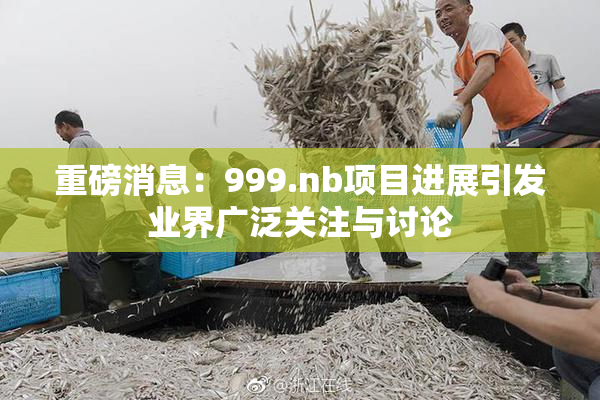 重磅消息：999.nb项目进展引发业界广泛关注与讨论