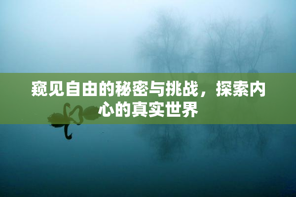 窥见自由的秘密与挑战，探索内心的真实世界