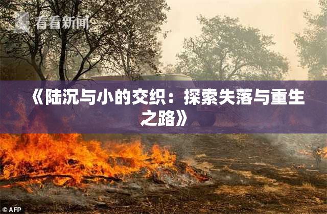 《陆沉与小的交织：探索失落与重生之路》