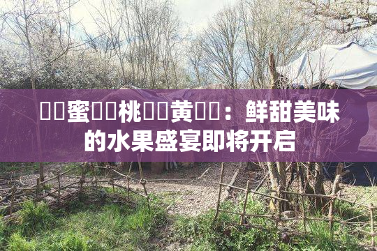 ❌‌蜜❌‌桃❌‌黄❌‌：鲜甜美味的水果盛宴即将开启