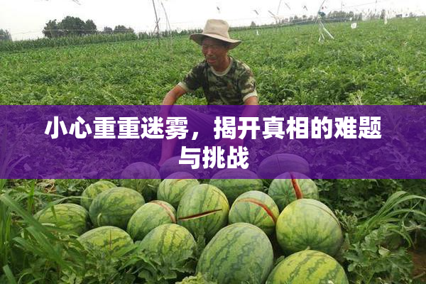 小心重重迷雾，揭开真相的难题与挑战