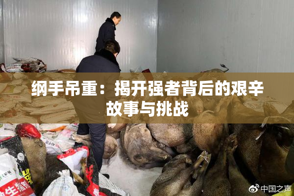 纲手吊重：揭开强者背后的艰辛故事与挑战