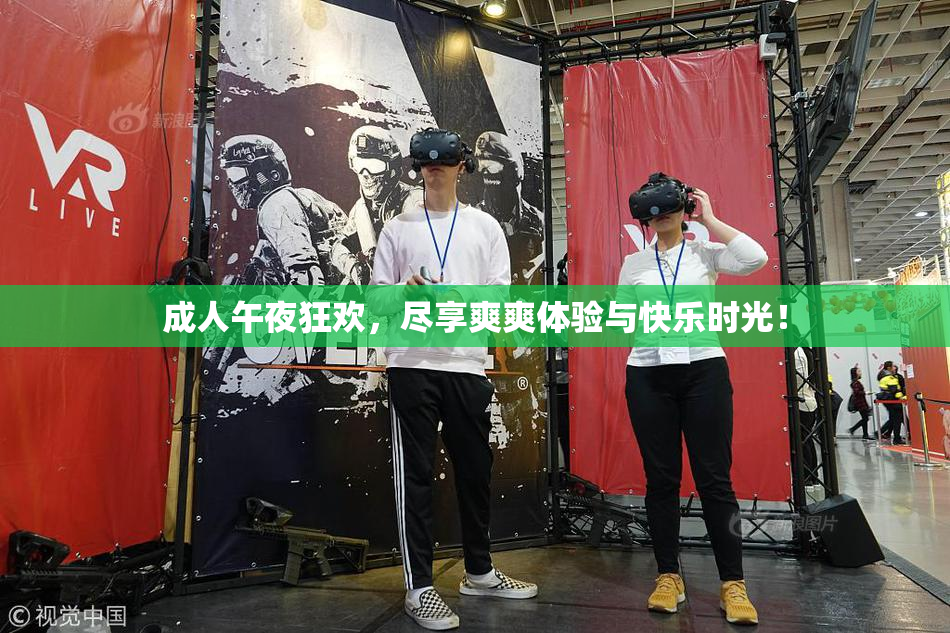 成人午夜狂欢，尽享爽爽体验与快乐时光！