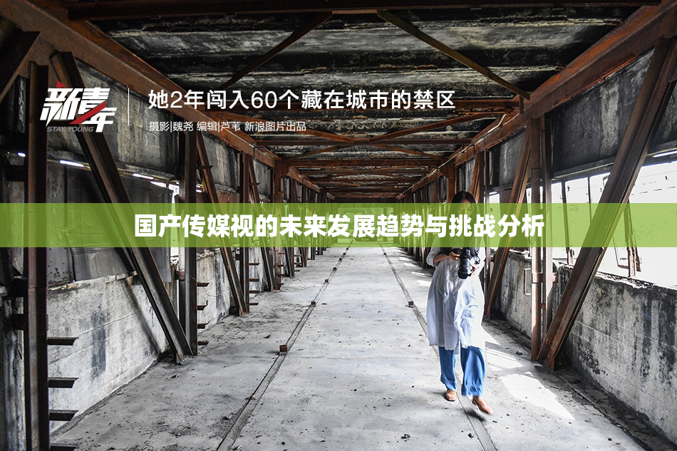国产传媒视的未来发展趋势与挑战分析