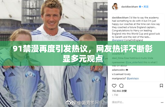 91禁漫再度引发热议，网友热评不断彰显多元观点