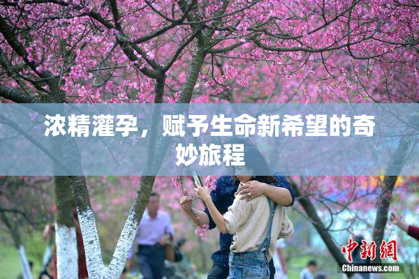 浓精灌孕，赋予生命新希望的奇妙旅程