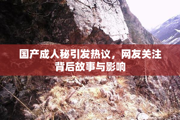 国产成人秘引发热议，网友关注背后故事与影响