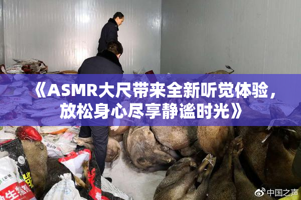 《ASMR大尺带来全新听觉体验，放松身心尽享静谧时光》