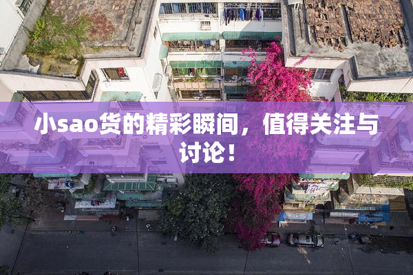 小sao货的精彩瞬间，值得关注与讨论！